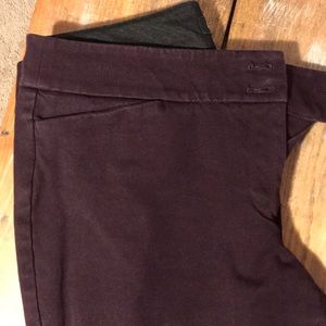 Ladies Loft Petites Pants